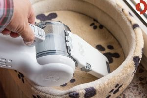 Test Black & Decker PV1820L Tischstaubsauger
