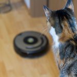 irobot-roomba-600-Serie-615-616-katze