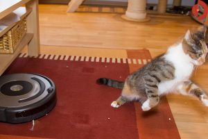 irobot-roomba-600-Serie-615-616-katze-3