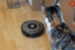 irobot-roomba-600-Serie-615-616-katze