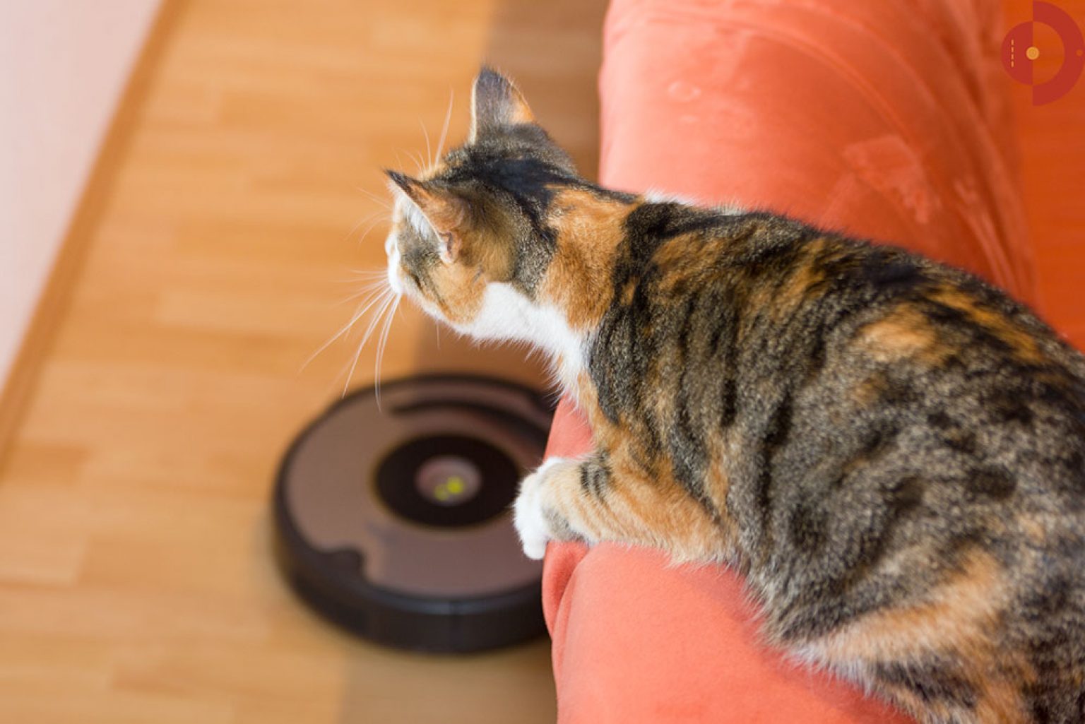 irobotroomba600Serie615616katze4 Akku und RoboterStaubsauger