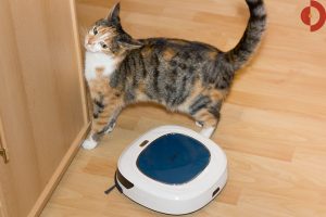 Test-Ecovacs-Deebot-D45-Pauline