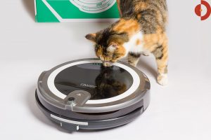 test-jisiwei-i3-roboter-test-von-katze