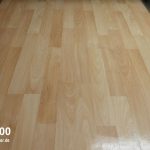 Moneual-Everybot--RS500-Fleckentest-nach-9-minuten