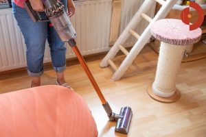 Dyson-Cyclone-V10-Absolute-Test-Frau-staubsaugt2