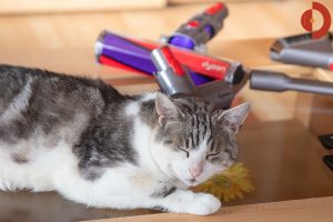 Dyson-Cyclone-V10-Absolute-Test-Saugergebnis-Schmutzmatte-Stufe-Max