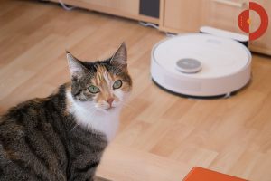 360-S6-Robot-Vacuum-Cleaner-Test-Katze-Titel