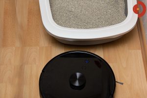 Viomi-S9-Saugroboter-Test-Wohnraum-5