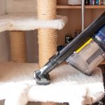 Shark-IZ320EUT-Test-Kratzbaum-saugen