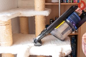 Shark-IZ320EUT-Test-Kratzbaum-saugen
